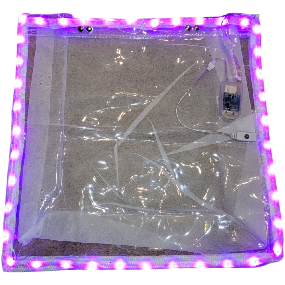 NWT Novelty LED Light Up Bag - Clear